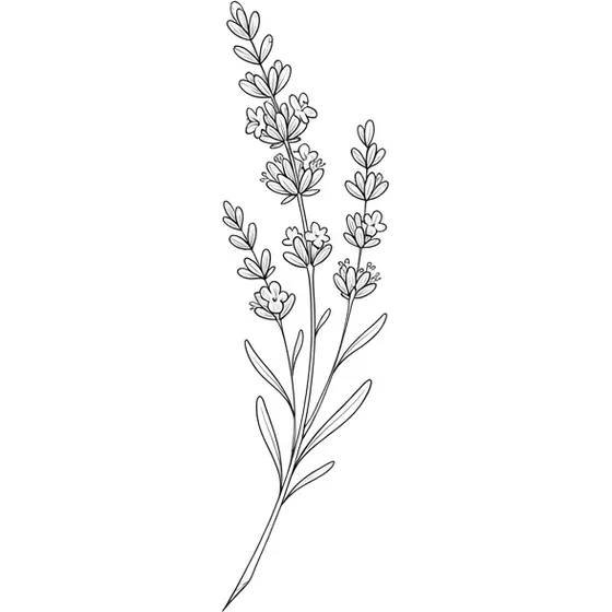 Matching Tattoos example — A fine-line sprig of lavender, one stem, no banner, small enough to match