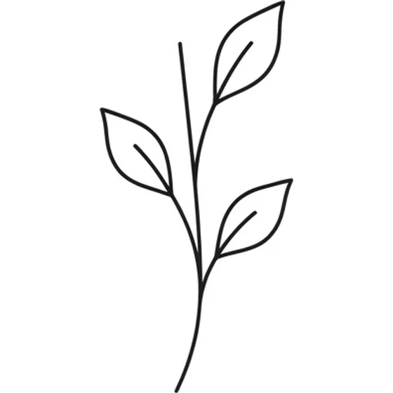 Minimalist Tattoos example — A single stem with three leaves, even line weight, no fill