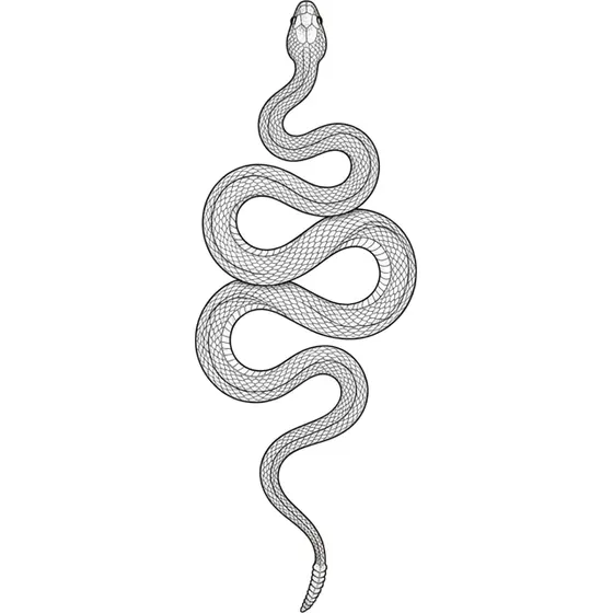 Rib Tattoos example — A snake winding vertically down the side in fine line